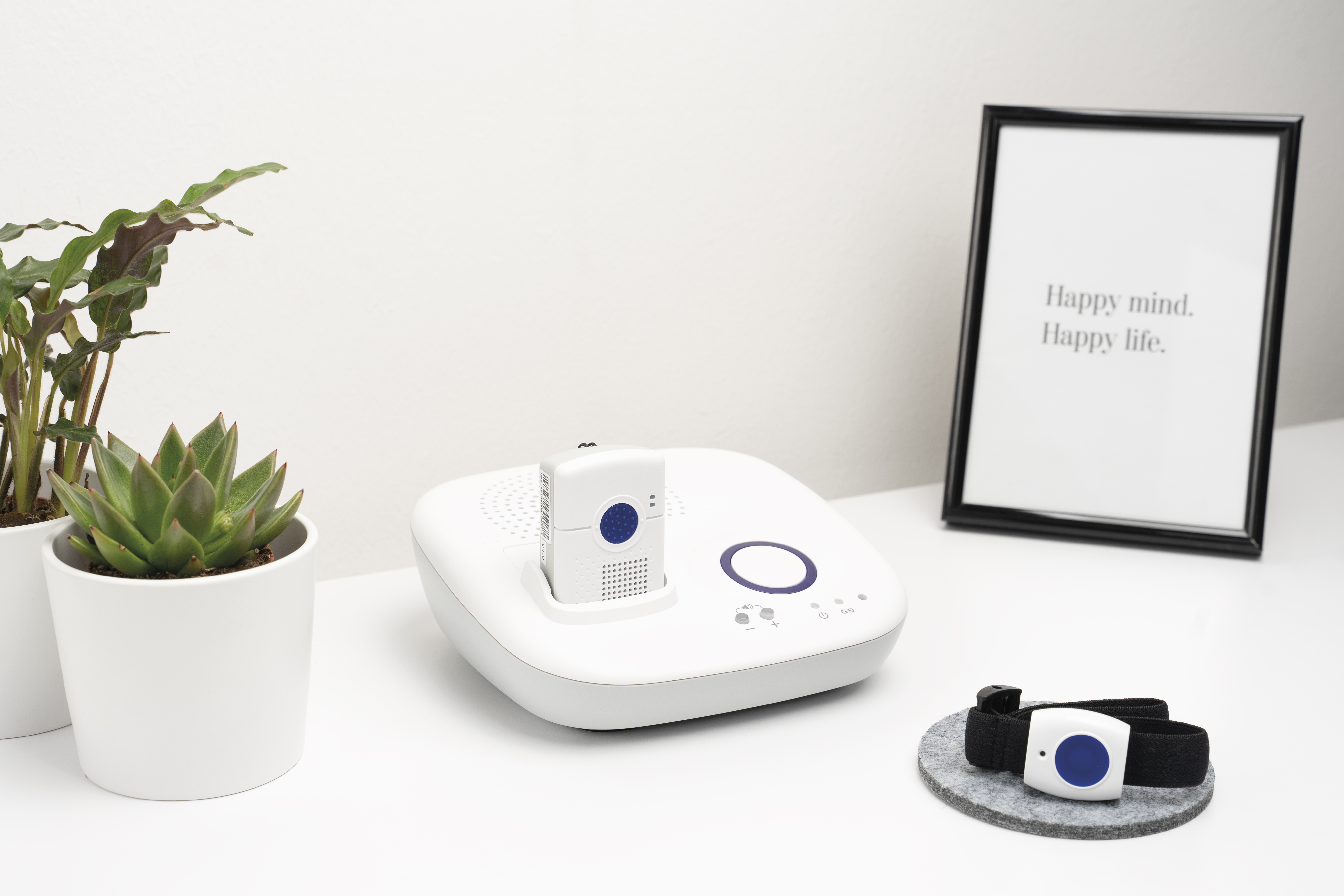 Hausnotruf Mobilvariante2.jpg